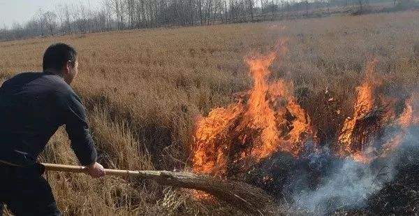 秸稈焚燒產生巨大危害 秸稈焚燒產生巨大危害