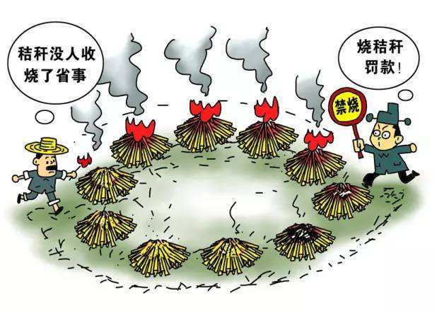 秸稈焚燒 秸稈焚燒