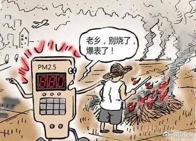 秸稈焚燒導(dǎo)致環(huán)境污染 秸稈焚燒導(dǎo)致環(huán)境污染