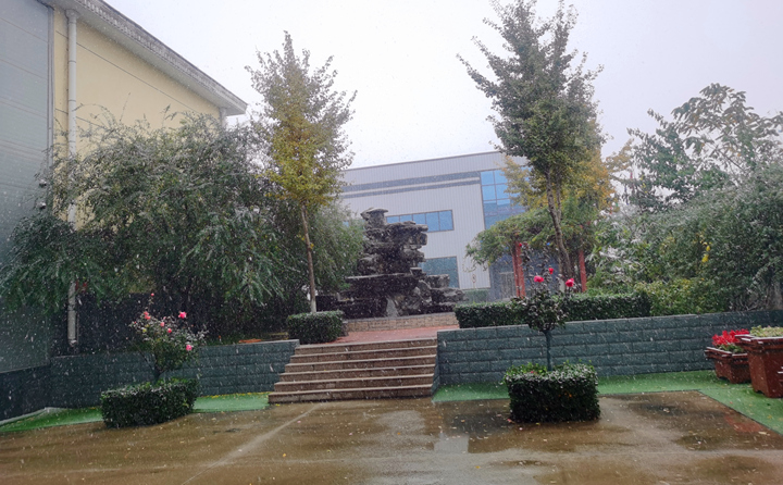 濟南喜提入冬初雪.jpg 濟南喜提入冬初雪.jpg